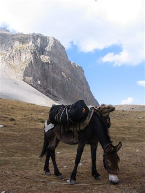 trekking con i muli-254.jpg